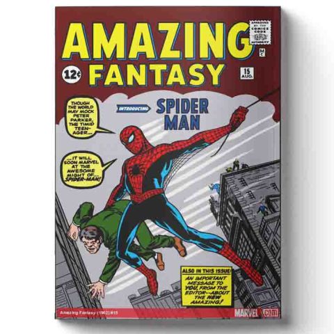 کمیک spider-man amazing fantsy 15